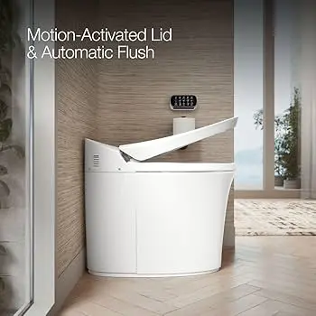 toilet.webp