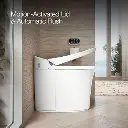toilet.webp