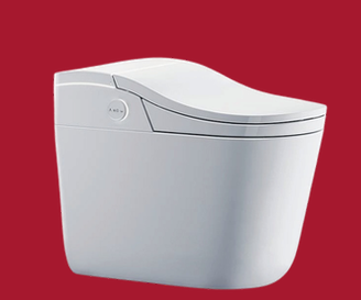 Model P